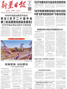 新疆日报(汉)
